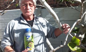 Teenvoeter vir Boorinsek